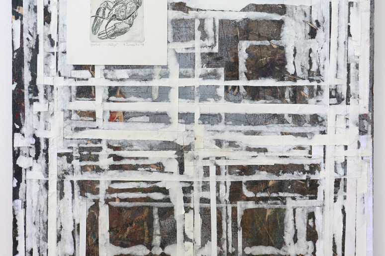 Photo-9